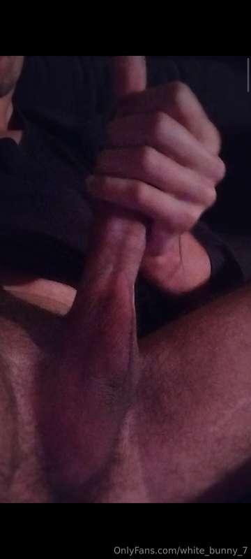 white_bunny_7 image #0