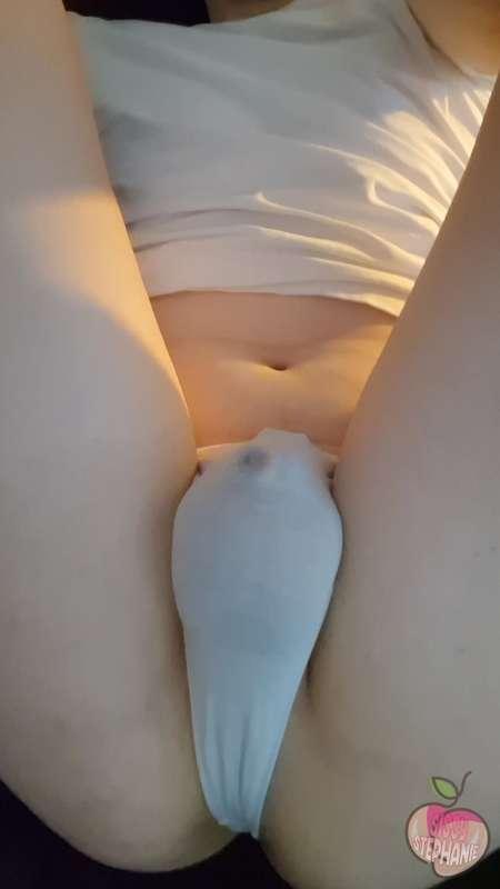 stephsis image #3