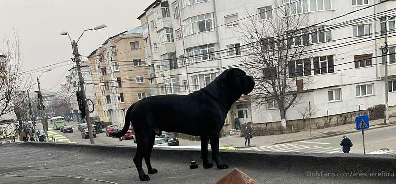 My Rocky 🥰
