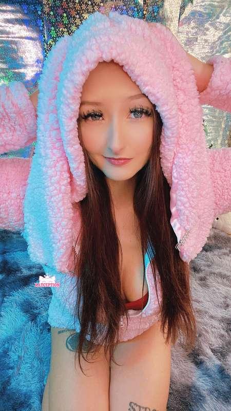 katception image #2