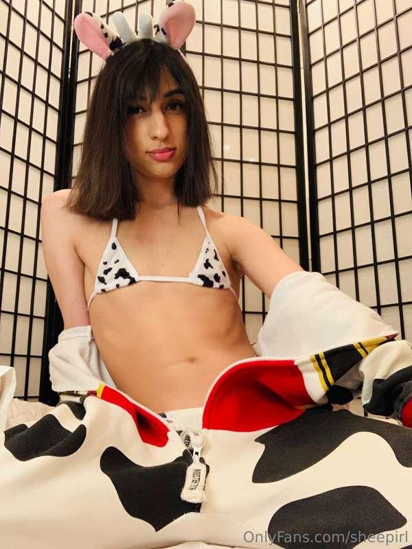 sheepirl image #1