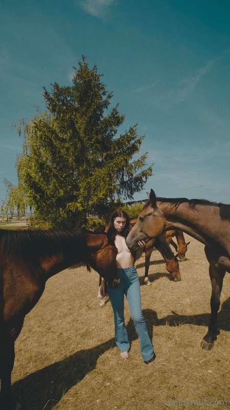 They may be majestic, but I know you can’t take your eyes of..