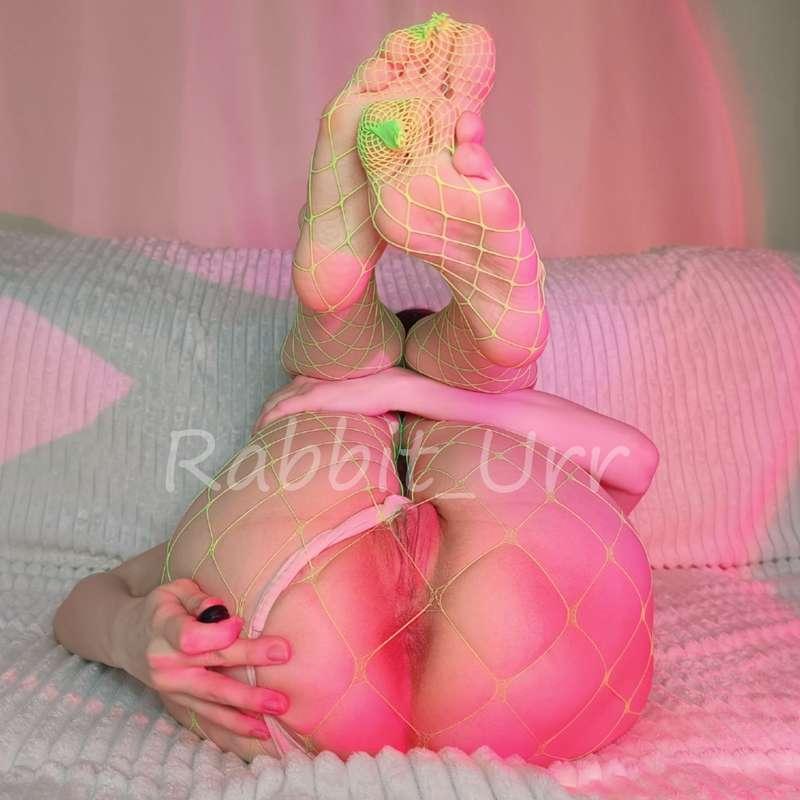 rabbit_urr image #14
