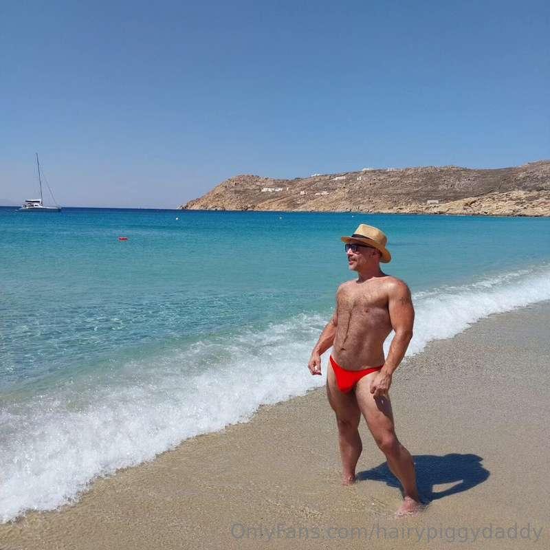 hairypiggydaddy image #1