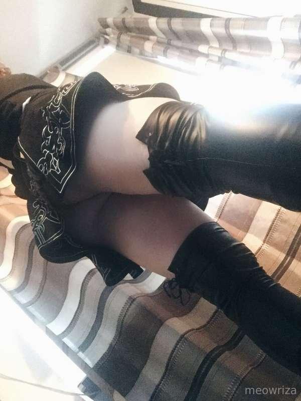meowriza image #1