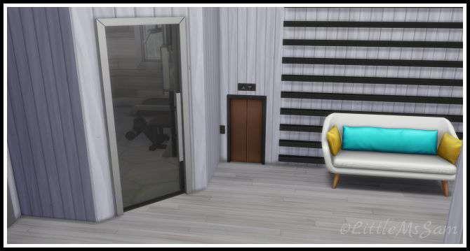 Tiny Elevators For Pets