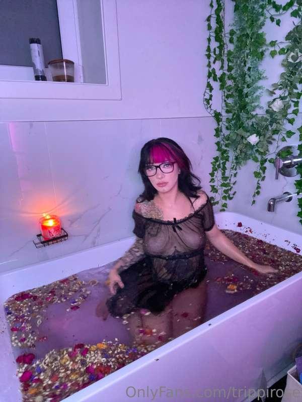 trippirose image #4