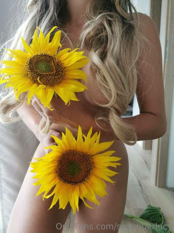 You’re the sunflower ❤️ 🌻