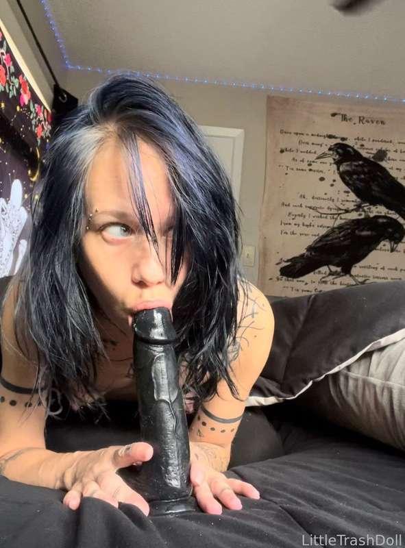 trashdoll image #1