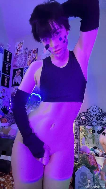 indigowhite image #332