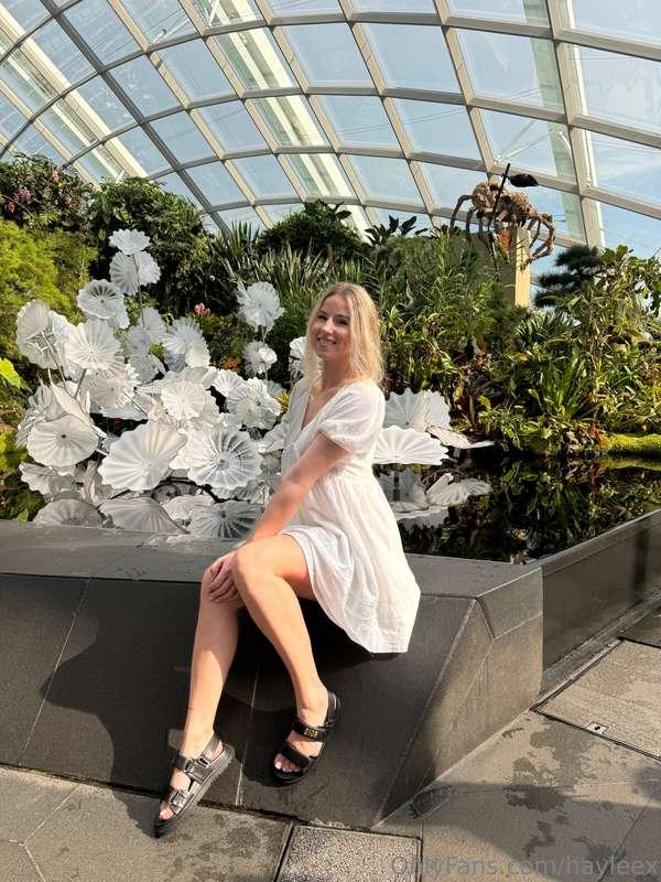 hayleex image #5