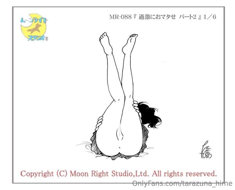 Illustration of MR-088 『過激におマタせ　パート２』 1／6https://moon-right-..
