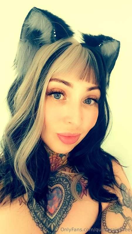 Have you paid your cum tax today?