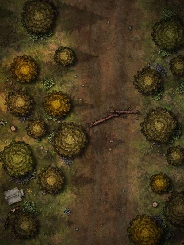 Forest Ambush