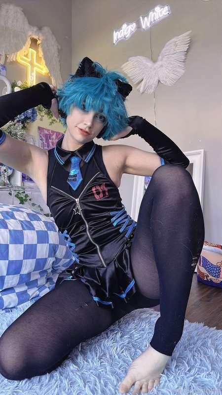 indigowhite image #142