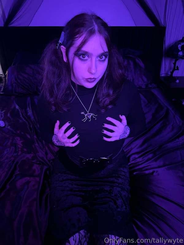 tallywyte image #5