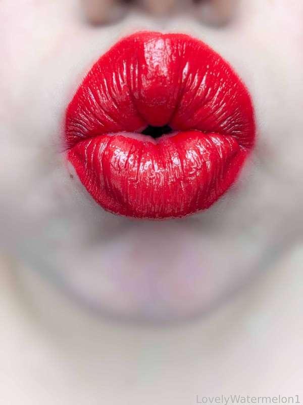 lovelywatermelon1 image #11