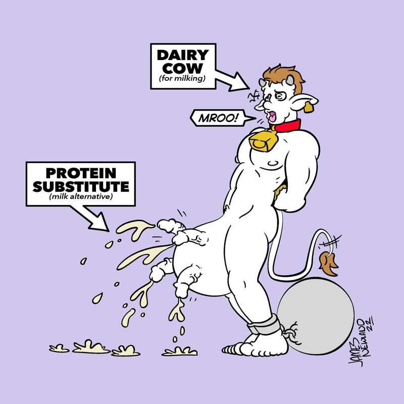 Milk Boy