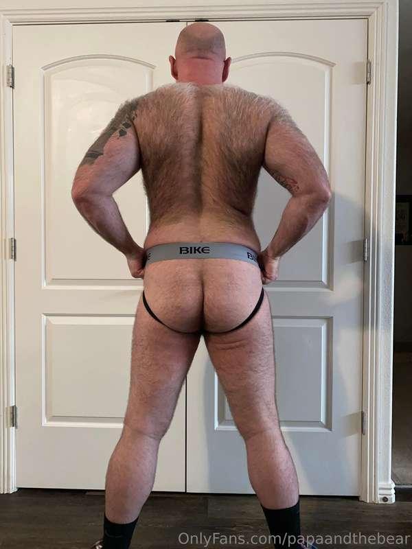 papaandthebear image #0