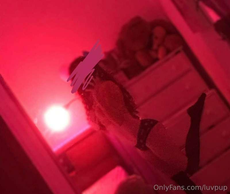 luvpup image #2
