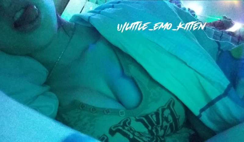 little_emo_kitten image #11