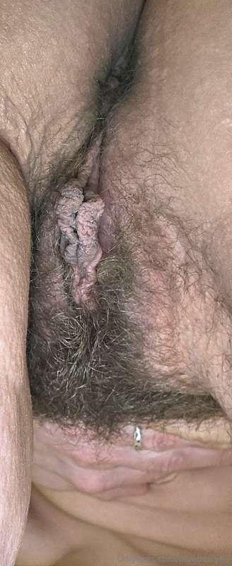 blueberry83 image #16