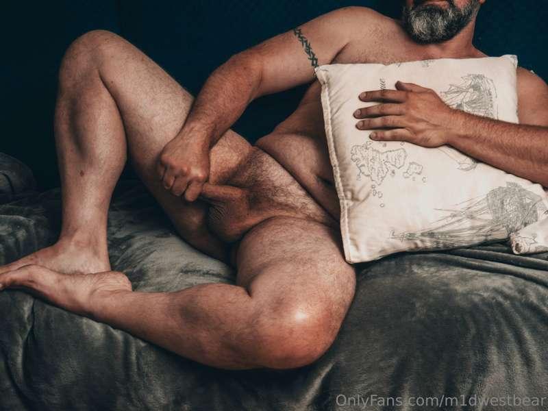 m1dwestbear image #0