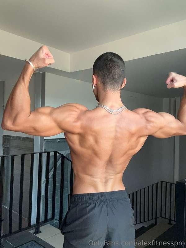 alexfitnesspro image #7