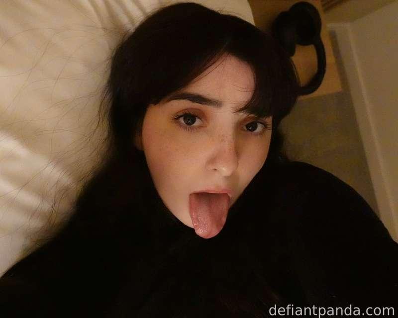 defiantpanda image #3