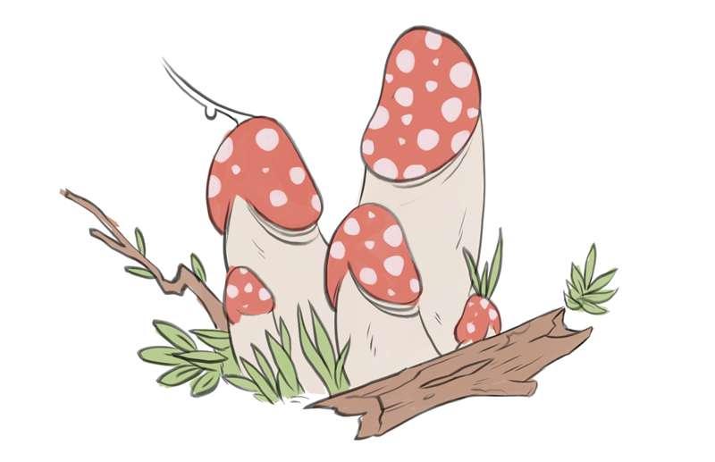 Completely normal mushrooms (nsfw)