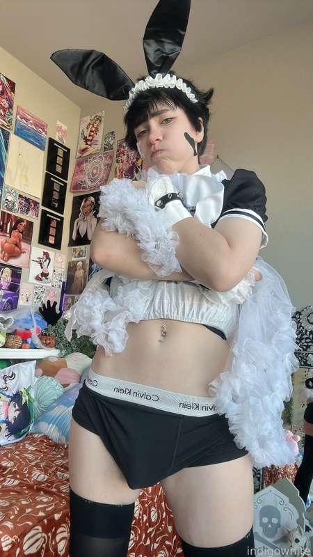 indigowhite image #30