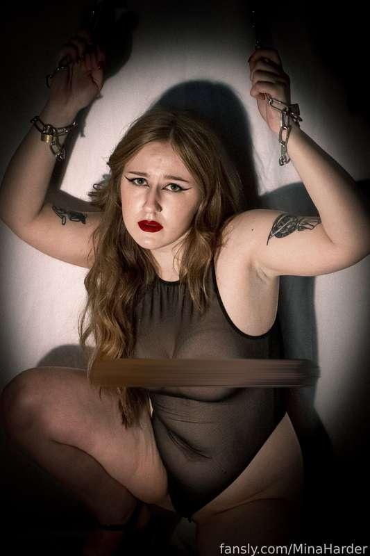 minaharder image #2