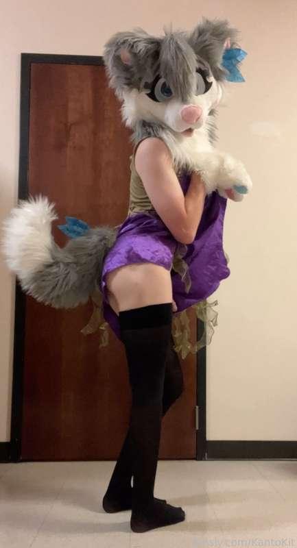 kantokit image #1