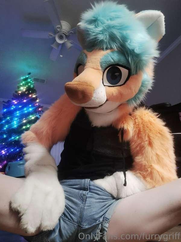 Just a little holiday cheer