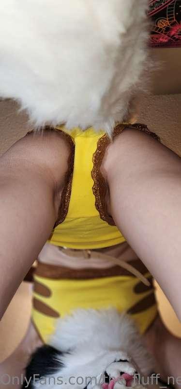 the_fluff_nextdoor image #3