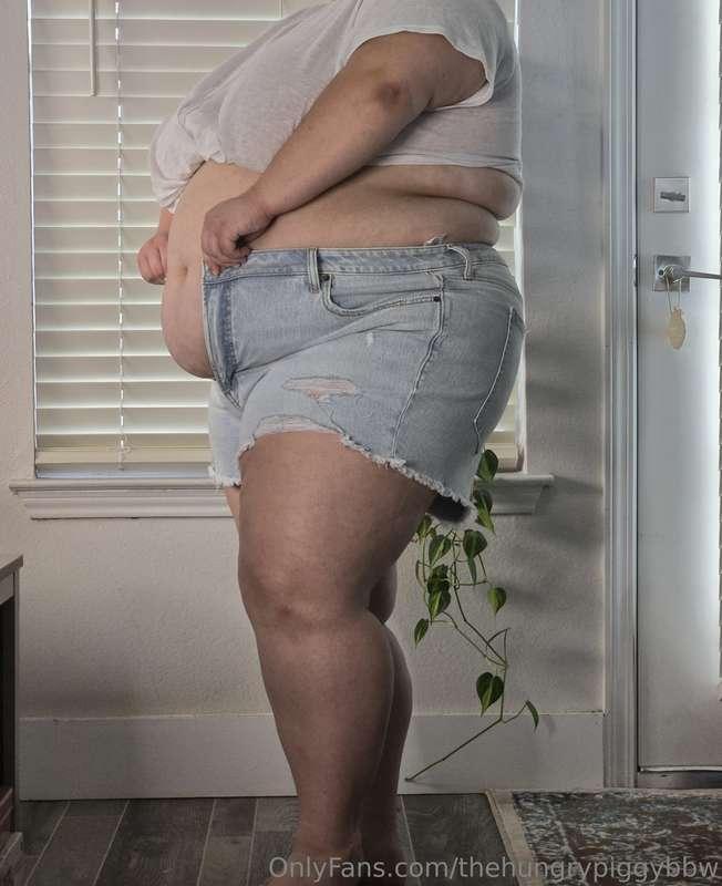 thehungrypiggybbw image #0