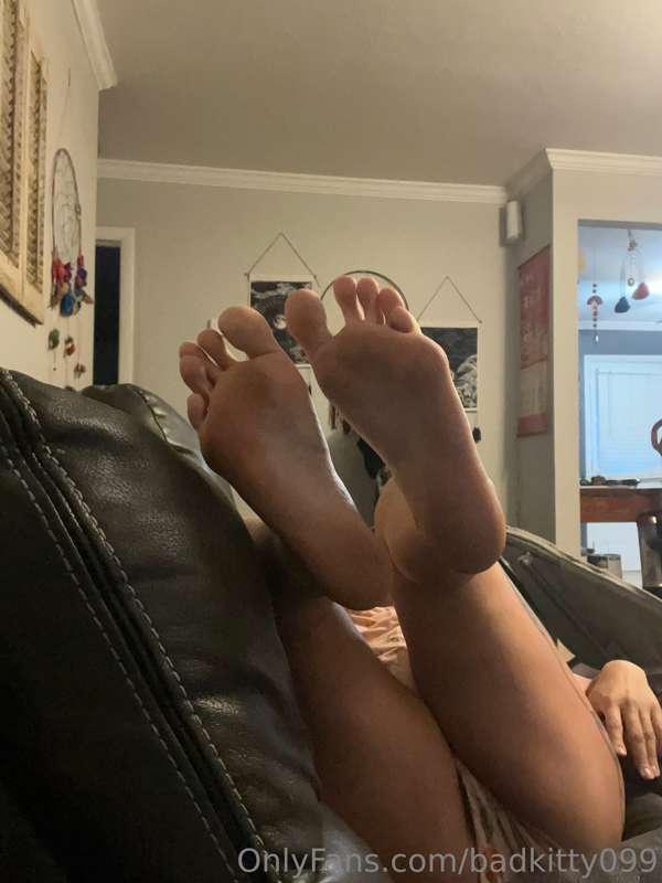 Morning view while I lounge on my couch