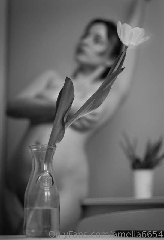 amelia6654 image #1
