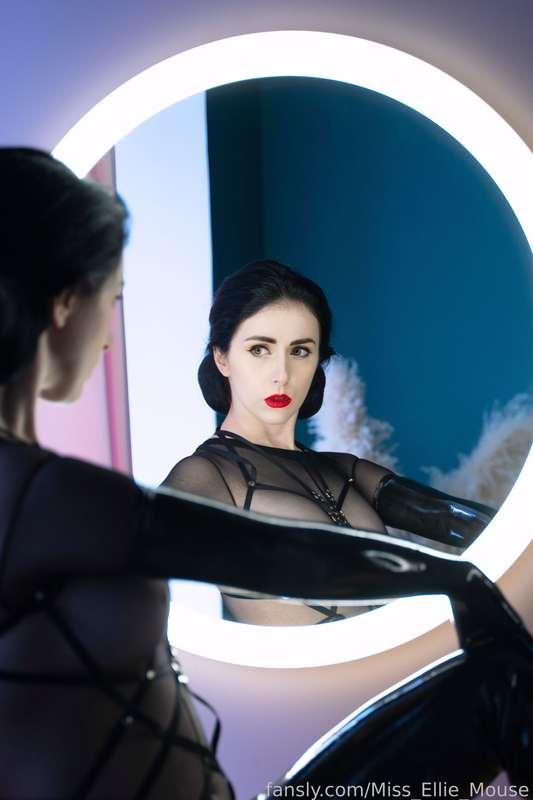 miss_ellie_mouse image #0