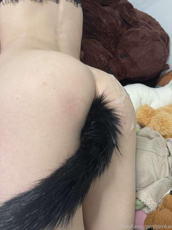 nimapie image #18