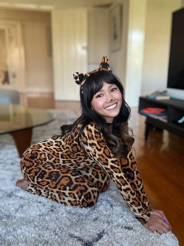Happy Halloween! 🎃 Have I turned you into a cat person yet? 