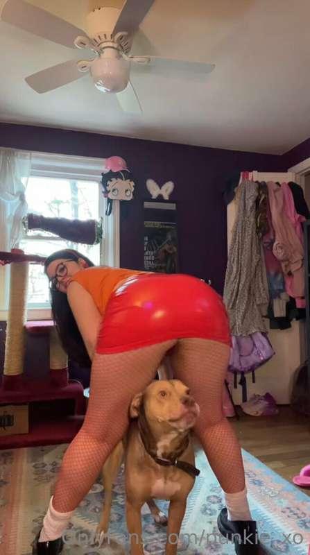 Whos ready for Velma?❤️❤️❤️My Scooby was so Happy lmaoo