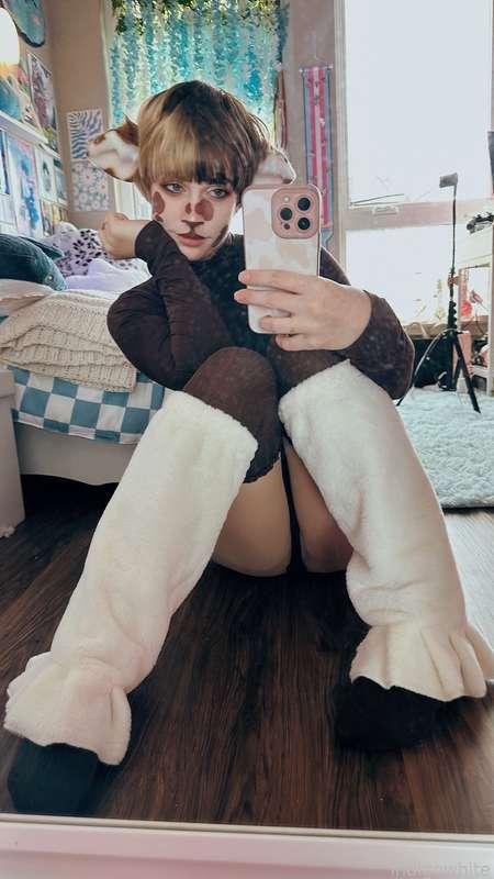 indigowhite image #112