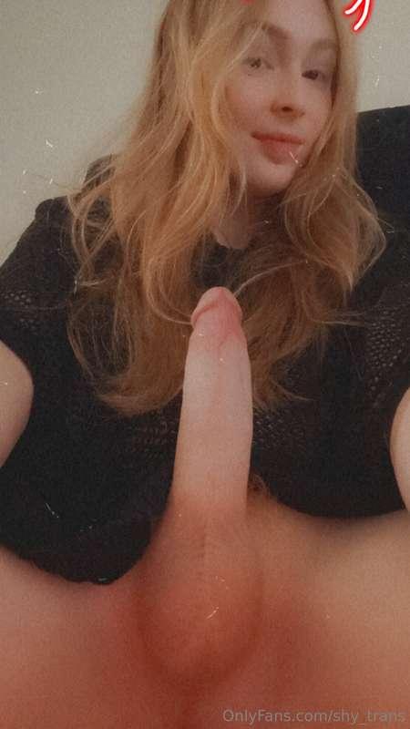 shy_trans image #3