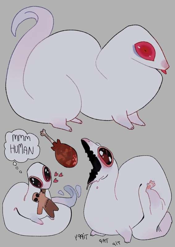 divinity: baby error