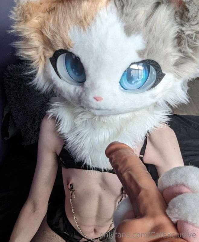 catexclusive image #0