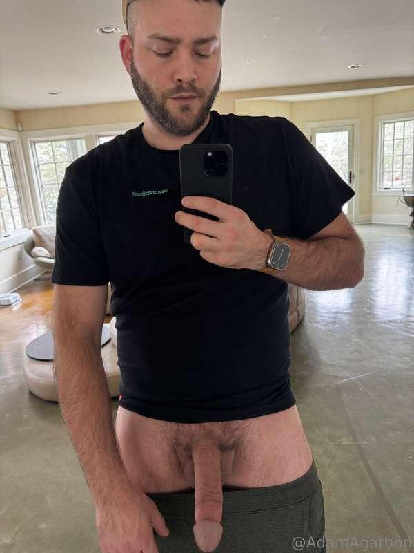 adamagathon image #8