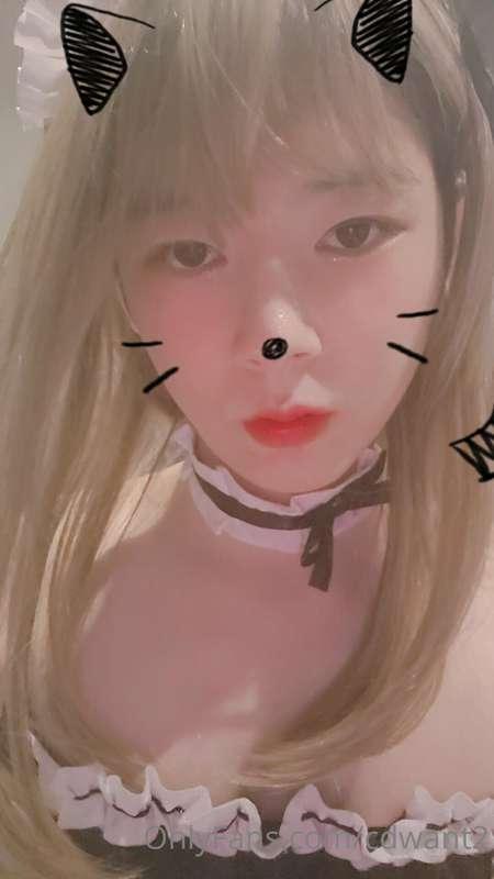 cdwant2 image #17