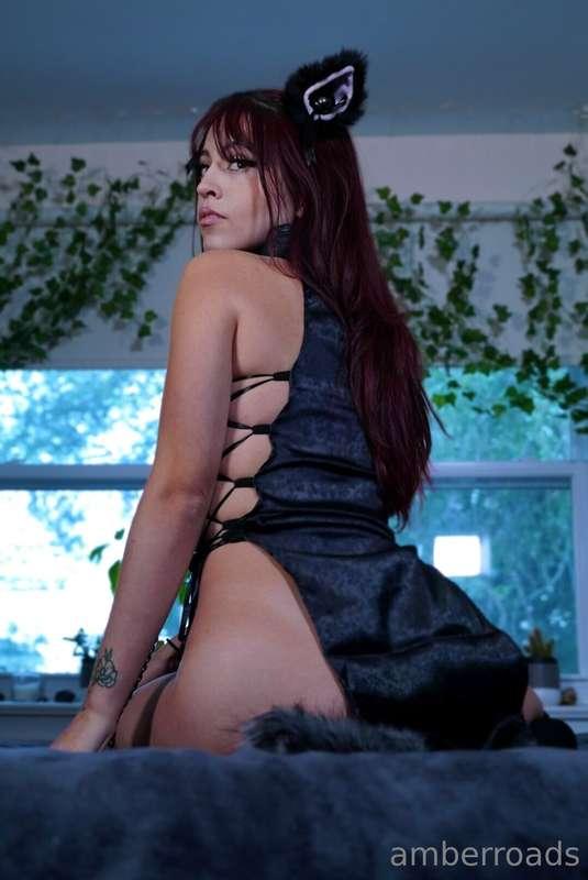should I bring back the catgirl cosplay?