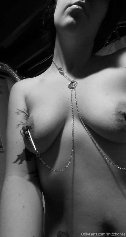 Nipple clamps 🐝